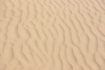 Wind made sand pattern in beach.