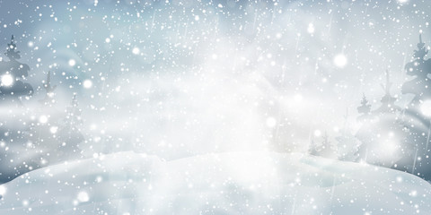 Christmas, Snowy Woodland landscape. Holiday winter landscape for Merry Christmas with Snowstorm, blizzard, firs, coniferous forest, snow, snowflakes. Christmas scene. Happy new year.