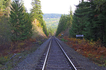 Railroad rails running into the fall landscape