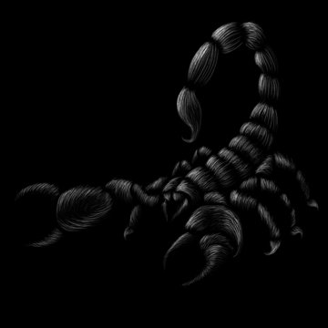 The Vector logo scorpion for T-shirt design or outwear.  Hunting style insect background. This drawing would be nice to make on the black fabric or canvas.