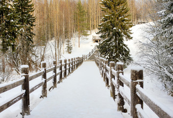 Beautiful winter landscape. Wooden bridge in a forest or park