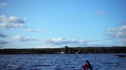 Geese swarm suddenly starting to fly from a lake surface in front of kayak, sunny autumn day, blue skies, with few clouds and small waves at the lake surface