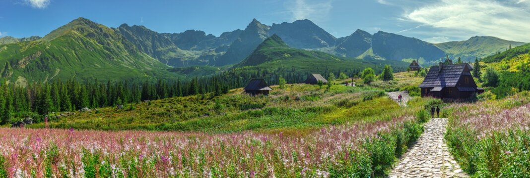 Fototapeta Hala Gąsienicowa, Tatry - sierpień 2019