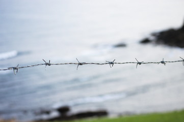Barbed wire on a background of the sea