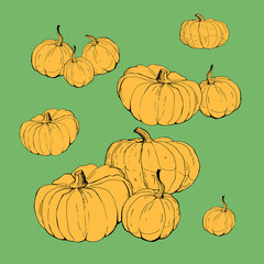 set of pumpkins , isolated images on colored background, doodles