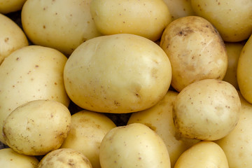 Fresh potatoes in a pile at the market.Close up shot of the potatoes at the market.Clean wash potatoes at agro market.