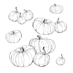 set of pumpkins , isolated images on white background, doodles