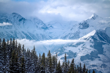 Winter landscape with snow covered trees