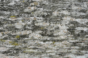 texture of old wall