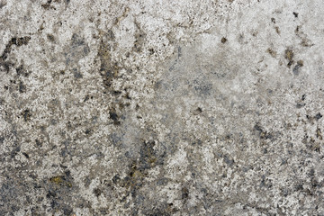 Wild Stone surface
