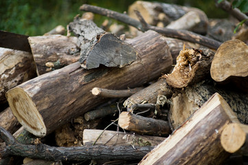 a pile of broken and sawn firewood in the village. Selective focus