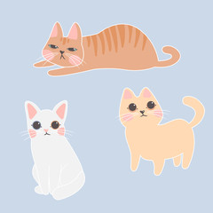 Variety breeds cats in different poses sitting, standing, stretching, playing, lying. Collection of kittens. Sweet cat set.