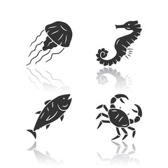 Sea animals drop shadow black glyph icons set. Swimming tuna, seahorse, jellyfish. Seafood restaurantю Marine fauna. Undersea world inhabitants. Ocean fish and mollusk. Isolated vector illustrations
