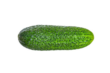 Ripe cucumber with pimples