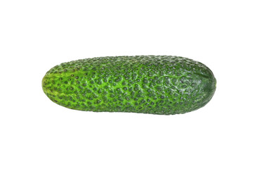 Ripe cucumber