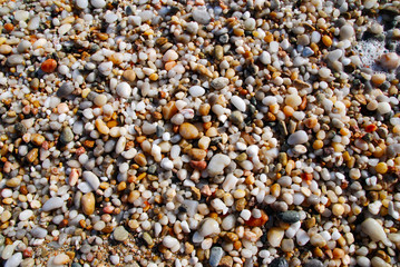 colorful round pebble in riverbed as background