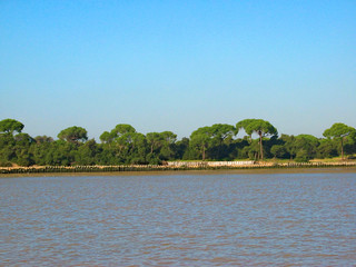 River bank on Gadalquivir in Doñana region natural park in Andalusia, Spain.