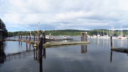 Fototapeta premium Sailing Marina