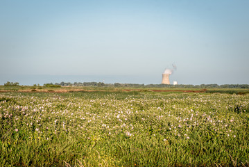 field with nuclear power plant