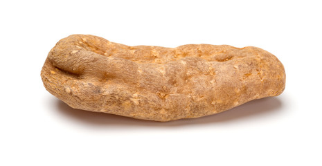 piece of Chinese herb medicine Tianma or Gastrodiae Rhizoma or Tall Gastrodiae on white