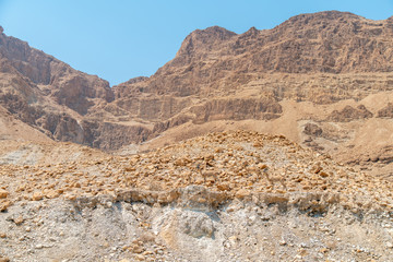 Fototapeta na wymiar Mutlple Nubian ibex in the Negev desert With Sunnry Skies