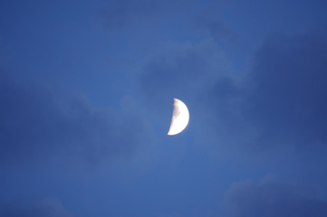 Naklejka na ściany i meble Moon in the evening sky