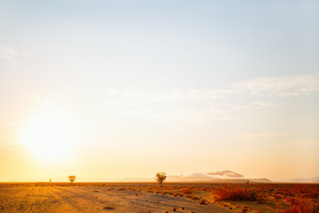 Namib desert landscape