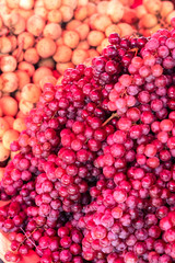 A pile of many purple grapes.