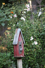 birdhouse on a tree garden