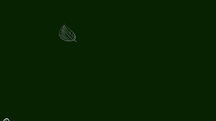 3d rendering of  leaf texture or leaf background