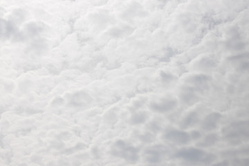 Obraz premium white cloud background and texture.