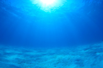 Fototapeta na wymiar Underwater background photo in sea
