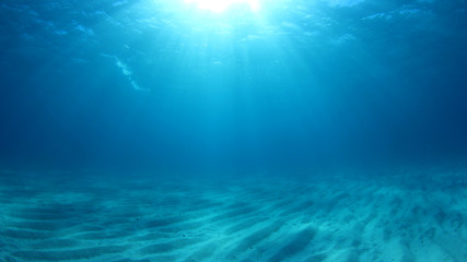 Fototapeta na wymiar Underwater background photo in sea