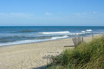 Empty beach and dune grass on the outer banks of North Carolina