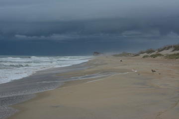 Dark storm clouds over the beach on the Outer Banks of North Carolina
