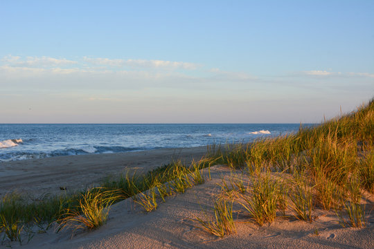 Late evening light over the sand dunes on the beach at Pea Island National Wildlife Refuge