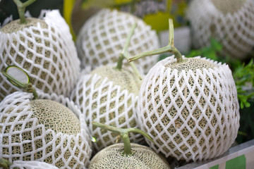 Fresh ripe melons forming on farmers market. Cantaloupe melons sell in the market.