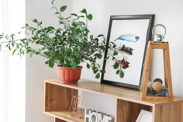 Interior of modern room with houseplant on shelf unit