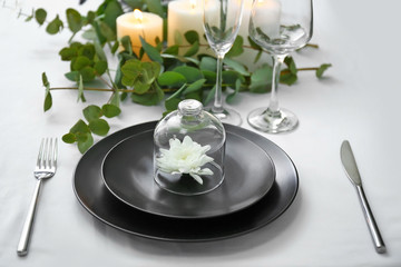 Beautiful table setting with floral decor on white background