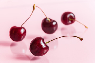 A group of four ripe fresh red cherries on a pink mirror background.