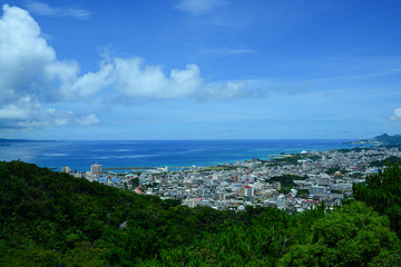 高台から見下ろす海