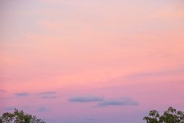Cumulus clouds float in purple sunset sky between treetops