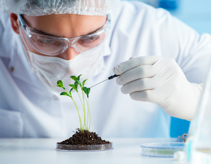 Biotechnology concept with scientist in lab