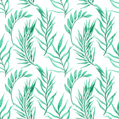 Plant branch hand drawn pattern seamless. Ethnic ornament, floral print, textile fabric, botanical element. Green color in white bsckground.