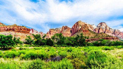 Fototapeta na wymiar The West Temple, Sundial and Altar of Sacrifice Mountains viewed from the Pa'rus Trail which follows along and over the meandering Virgin River in Zion National Park in Utah, USA