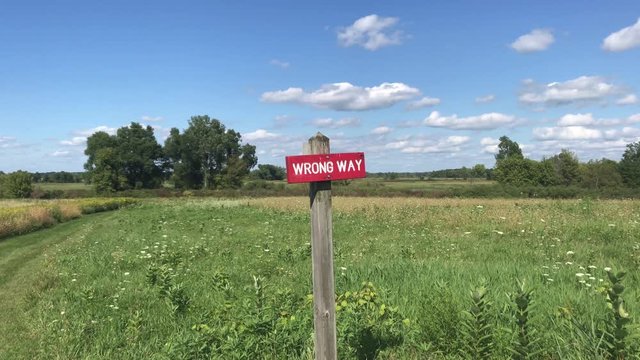 Wrong way sign along a trail through a wildflower field
