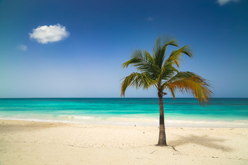 Naklejka na ściany i meble Sunny tropical exotic Caribbean paradise beach. 