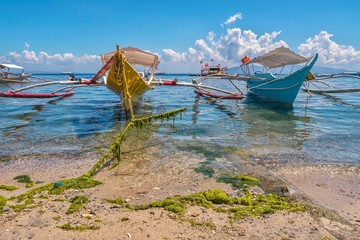 Algae caused by sewage pollution growing on the beach and boat mooring lines in a tourist resort area on an island in the Philippines.