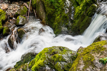 Landscape mountain river with waterfalls and rapids. Mountain Altai Siberia