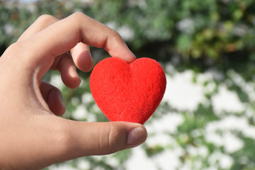 Obraz na płótnie Canvas red heart in hand